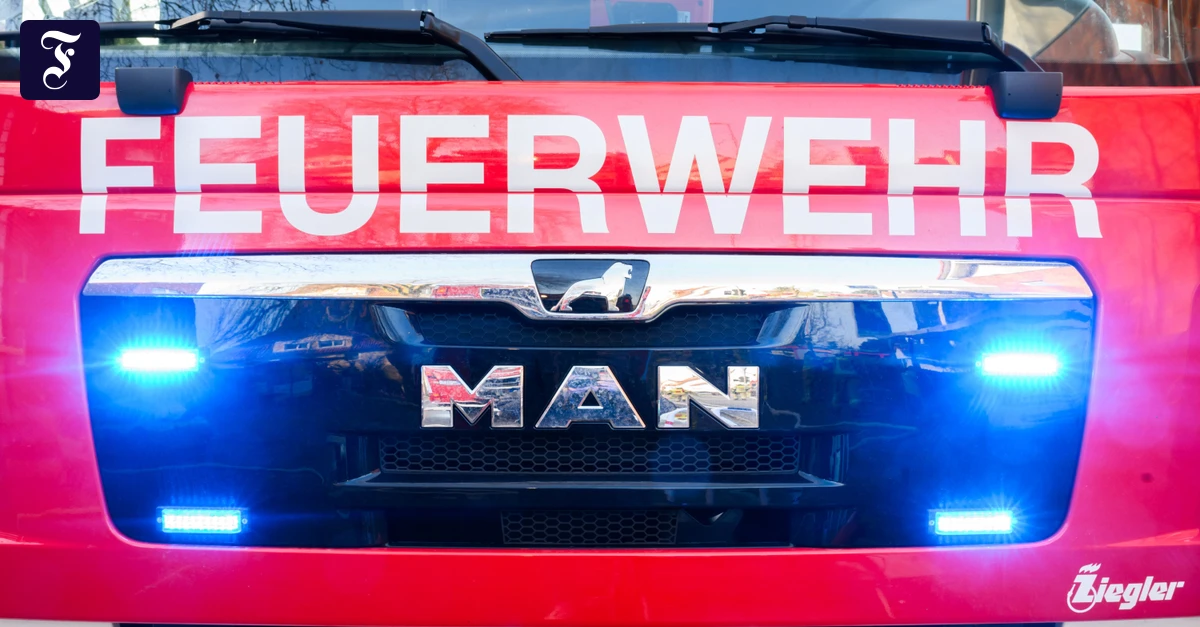 Hesse: Firefighters rescue person from burning building in Hofheim