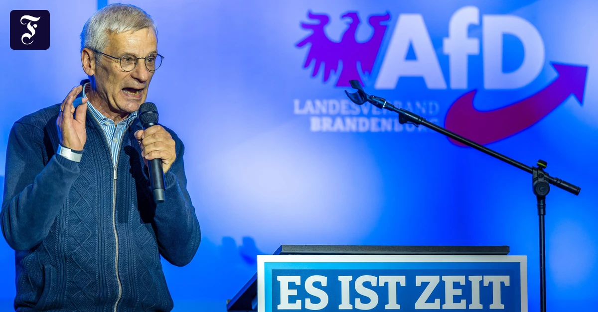Ruling: Racist AfD campaign ad banned