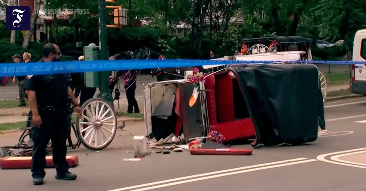 New York Bans Horse-Drawn Carriages in Central Park