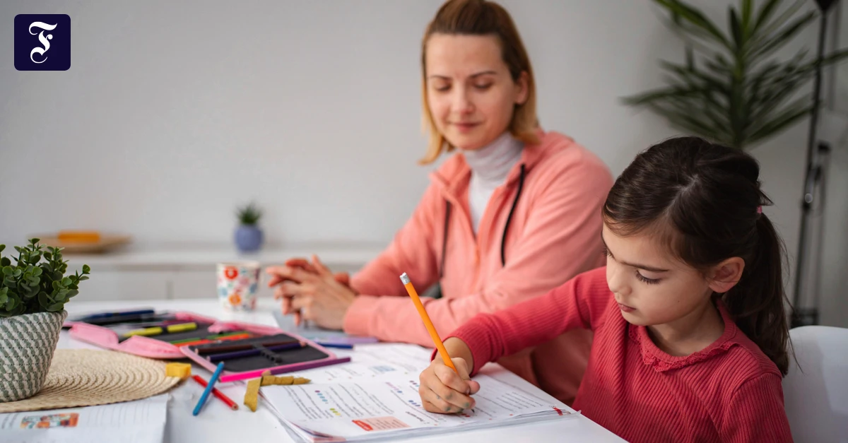 AfD in Saxony-Anhalt sees Austria as a role model in homeschooling