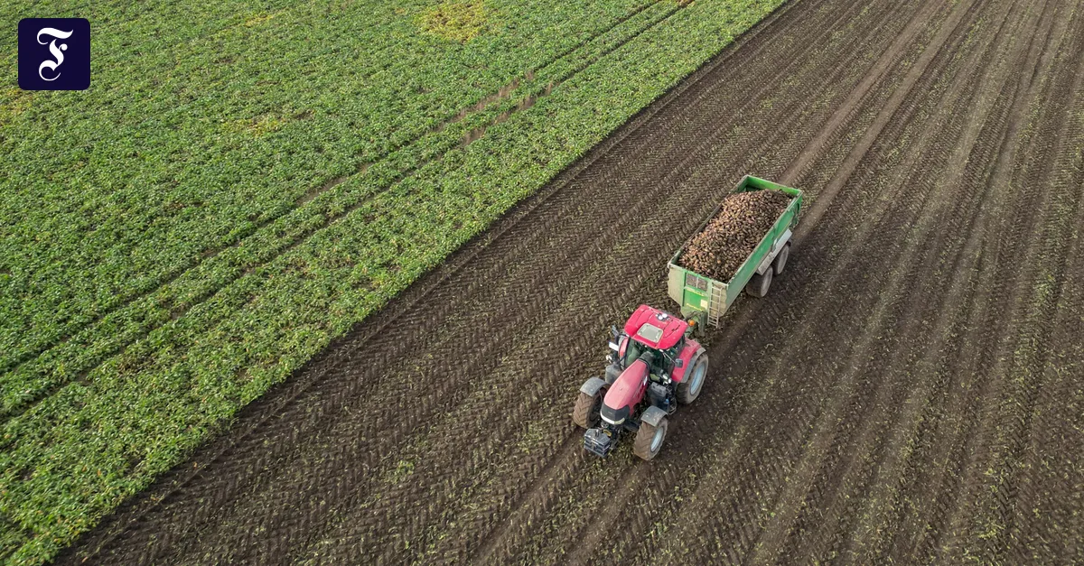 E20: Biofuel is intended to make refueling cheaper